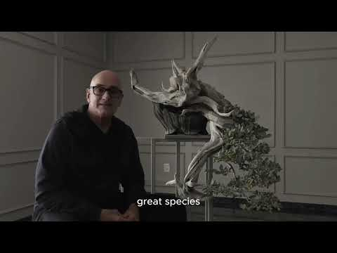 Bonsai techniques: Bonsai in the Tropics by Nacho Marin