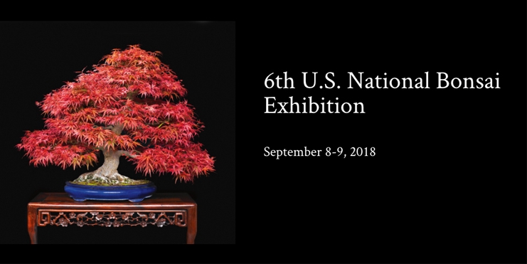 If You Only Visit One Bonsai Event This Year… | Bonsai Bark