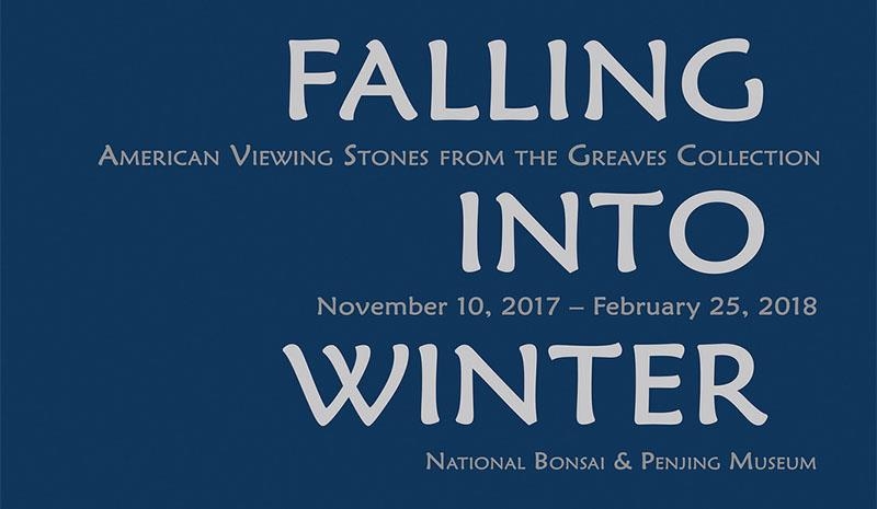 "Falling into Winter" at the National Arboretum | urban bohemian