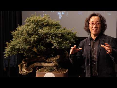 Shinji Suzuki shaping Tsuga bonsai — live demonstration