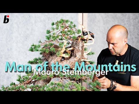 MAN OF THE MOUNTAINS