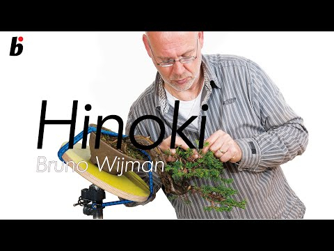 hinoki workshop with Bruno Wijman how to wire
