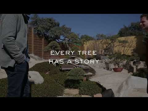 Every Tree Has a Story