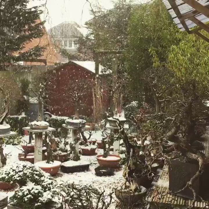 It was -5C this morning at 8 when I started
