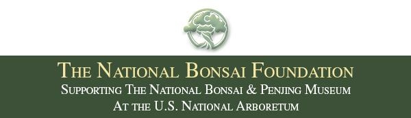 ? New exhibit on now: Cherry Blossom Diaries ? + more from NBF