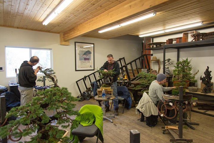 Elongating Species III in the workshop today! So