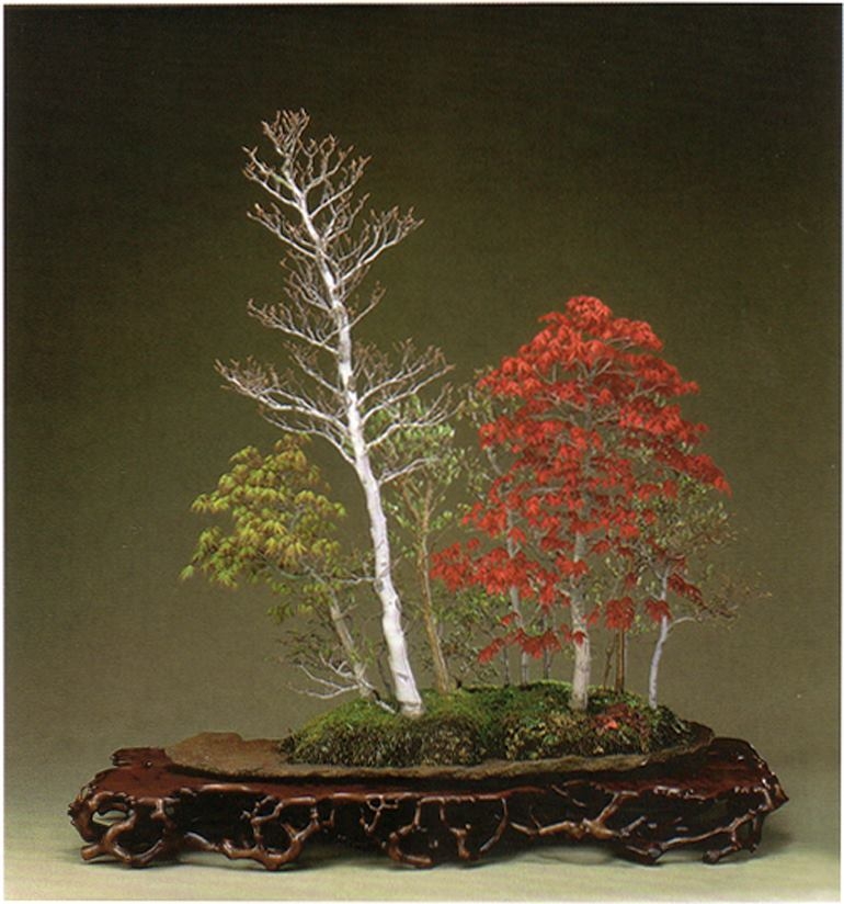 Mixed Forest Bonsai (& Others) by One of the Original Grand Masters | Bonsai Bark