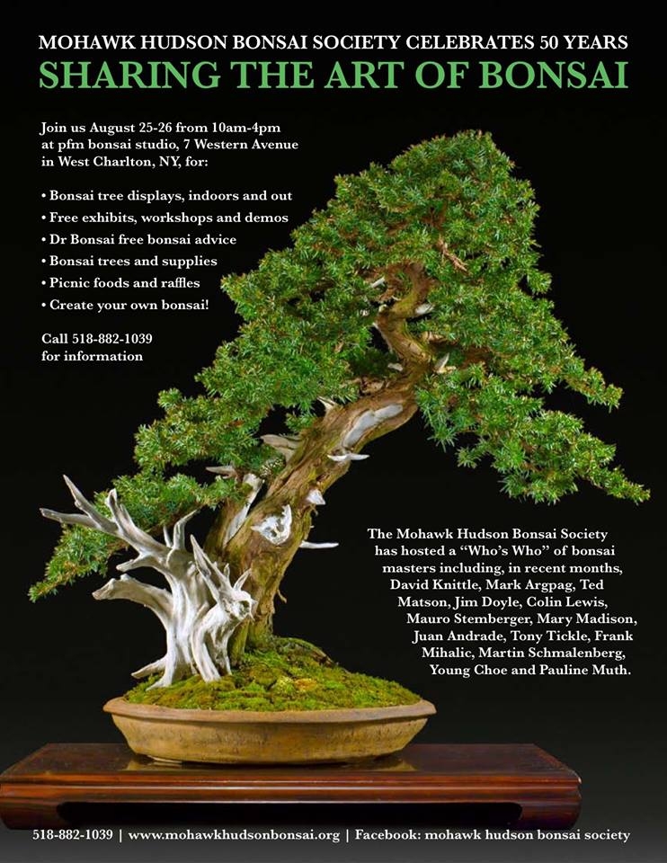 Celebrating a Half Century of Bonsai | Bonsai Bark