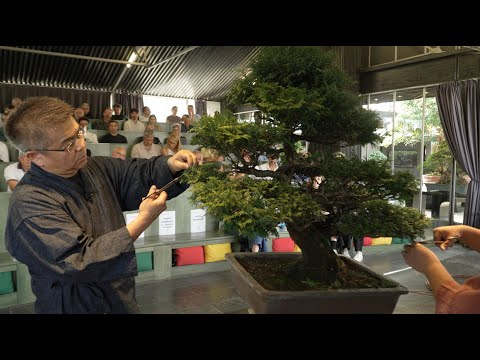Bonsai demo by Takako and Masayuki Fujikawa