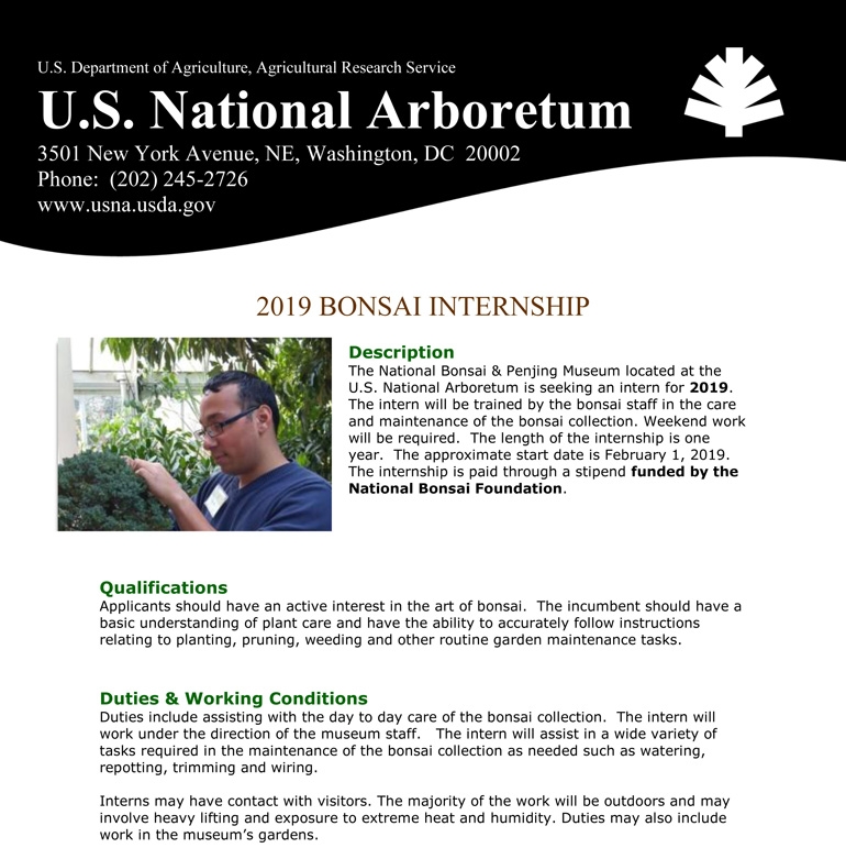 One Year of Some Serious Bonsai Training | Bonsai Bark