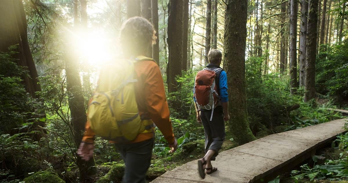 With ecotherapy, a prescription for anxiety includes 5 trips to the park