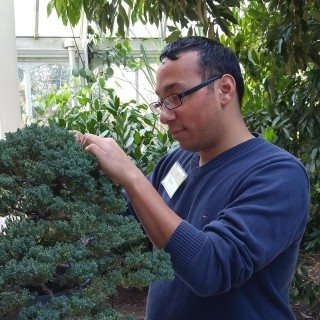 Farewell to a Busy Summer | National Bonsai Foundation