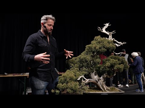 Ryan Neil Bonsai Demonstration (Trophy 2025)