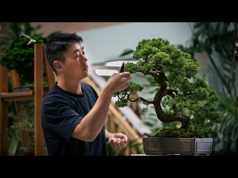 The Generation Gardener