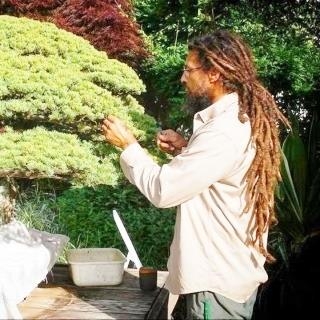 BONSAI INTERNSHIP