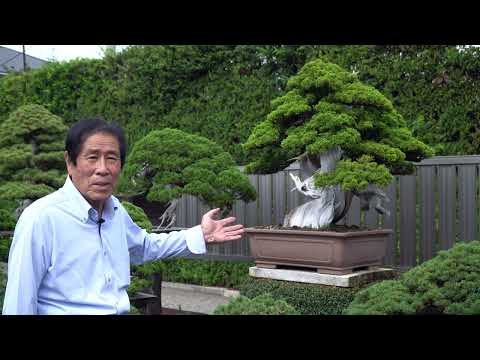 Interview with Masahiko Kimura