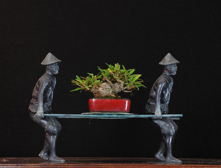 A Bonsai in Hand – a Quick Study on Perspective | Bonsai Bark