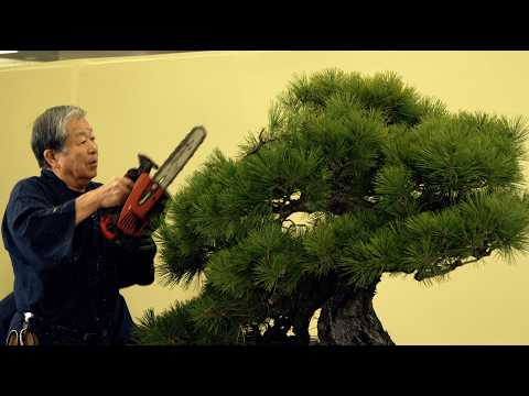Kunio Kobayashi Bonsai demonstration Taikanten