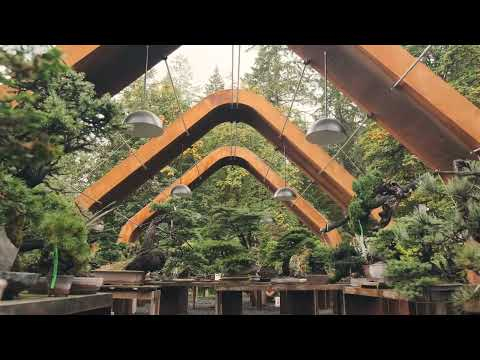 Mirai Garden Evolution