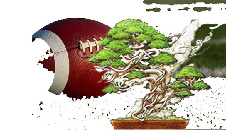 What Do FREE Bonsai Fertilizer & Football Have in Common? | Bonsai Bark