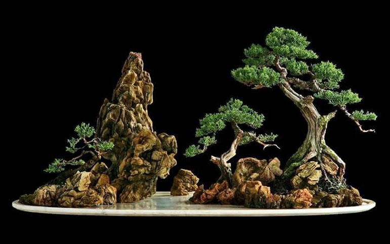 Simplicity, Elegance & More than a Little Skill… | Bonsai Bark
