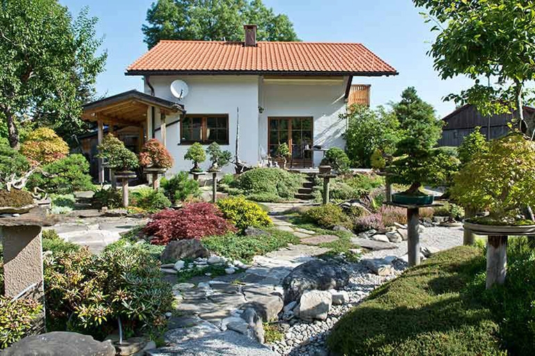 Brilliant Bonsai Garden from the Front this Time | Bonsai Bark