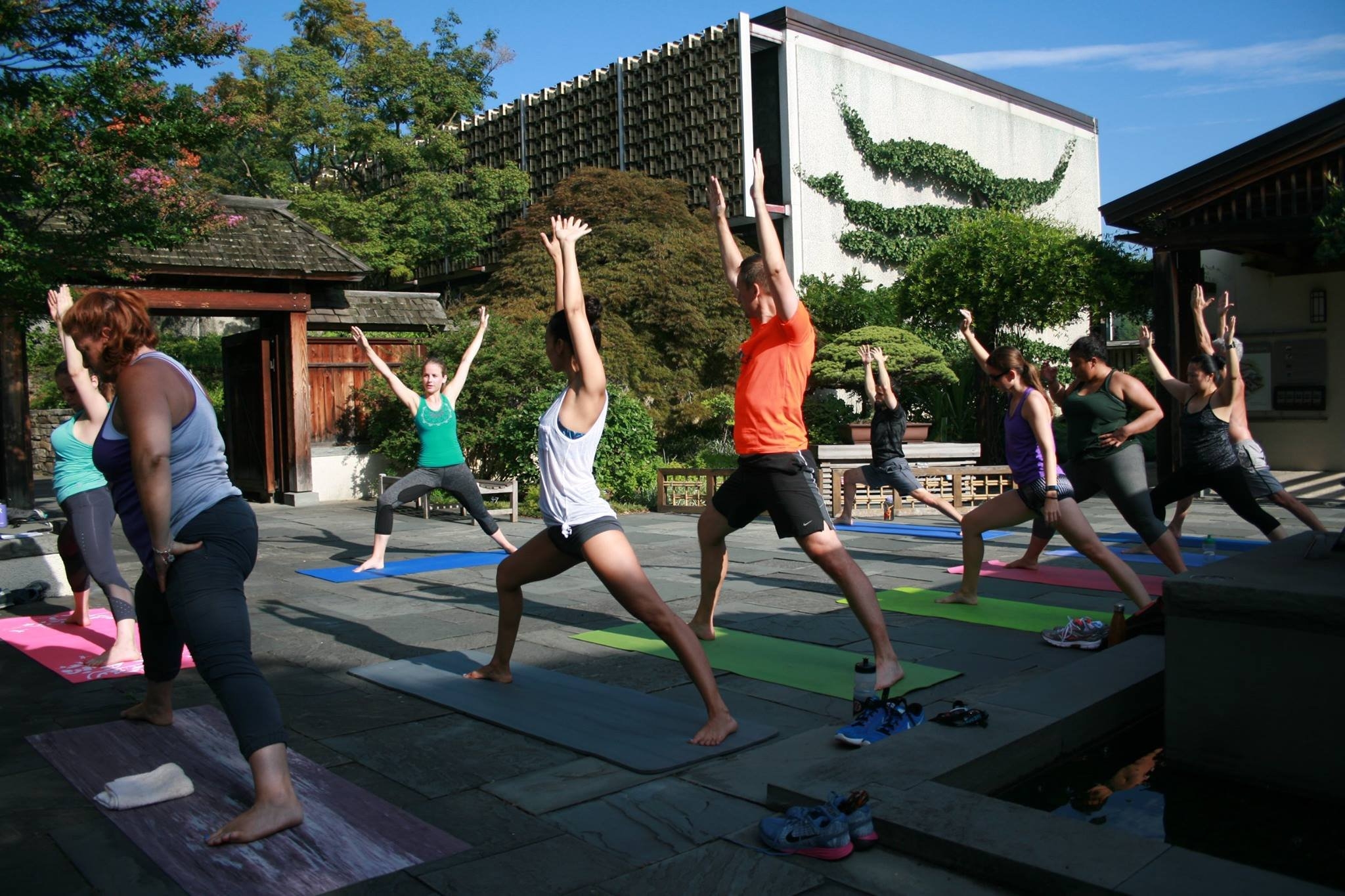 Summer Yoga Series at the National Bonsai & Penjing Museum