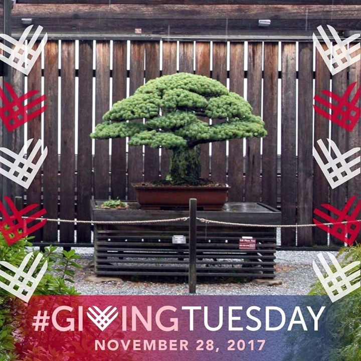 Thank you for supporting NBF this #GivingTuesday!