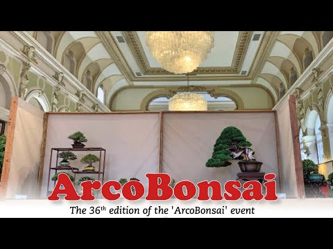 ARCO BONSAI '22