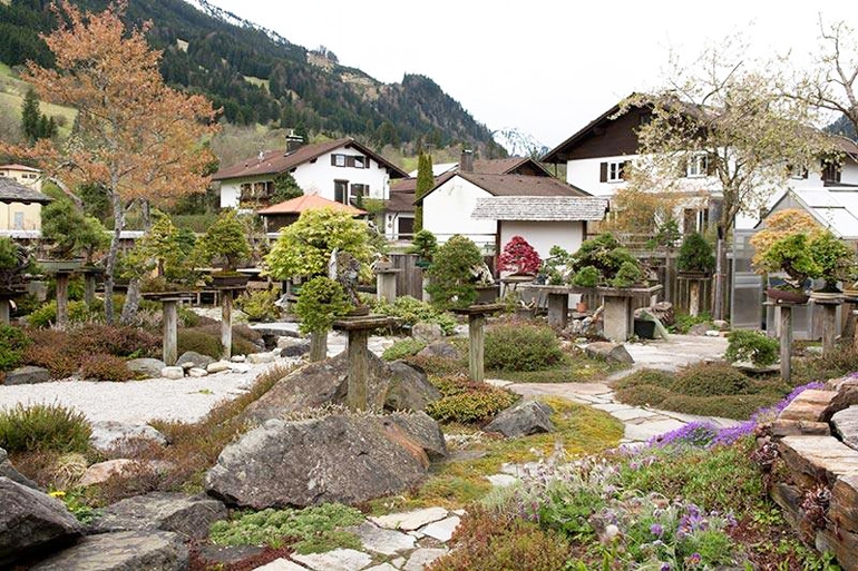 Brilliant Backyard Bonsai Garden in an Enchanted Setting | Bonsai Bark