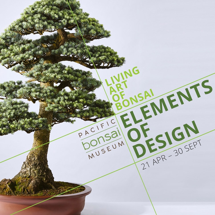 Coming Soon, Brilliant Bonsai Fest at the Pacific Bonsai Museum | Bonsai Bark