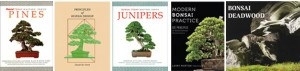 Floating Clouds | Bonsai Bark