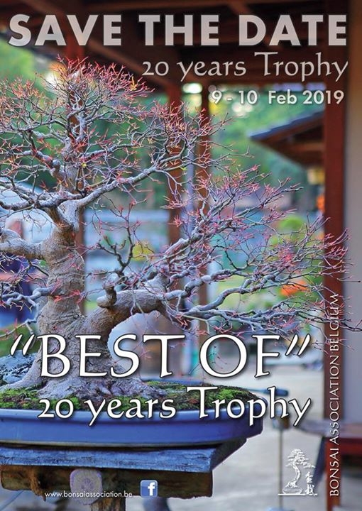 “The Best Of 20 Years Trophy by Bonsai