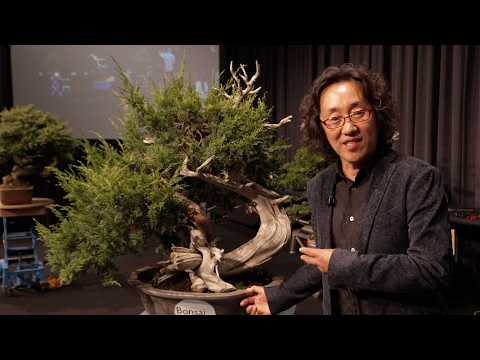 Shinji Suzuki — Shimpaku Juniper Bonsai styling at Trophy 2026