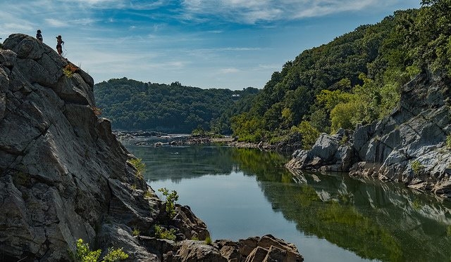 Feeling Stressed In The City? Go Bathe In A Forest. (It's Not What You Think) - The Kojo Nnamdi Show