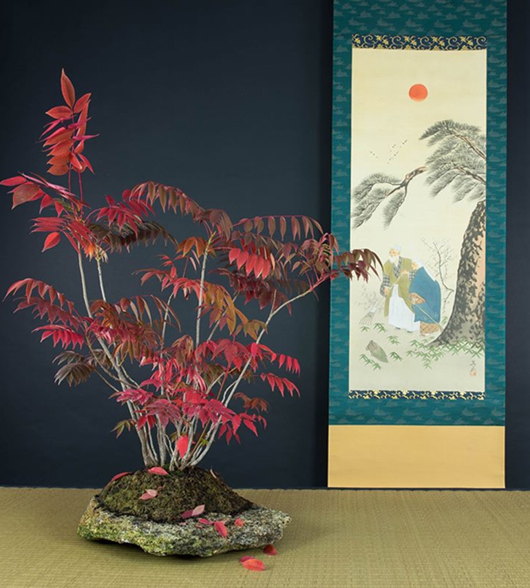 “How beautifully leaves grow old. How full of light and color are their last days” | Bonsai Bark