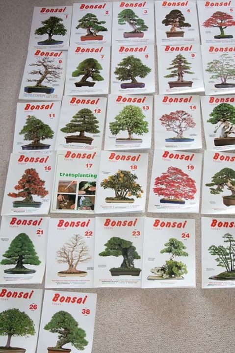 Someone wants my old bonsai magzines. He found the