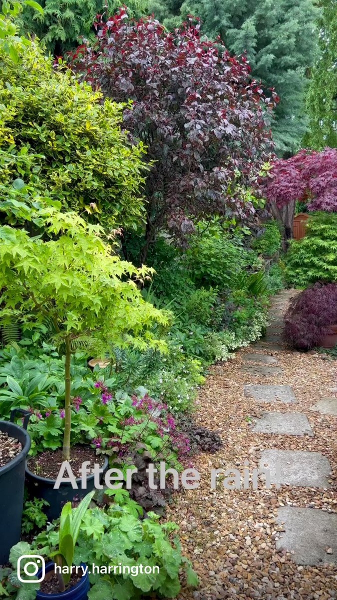 Heavy rain overnight has left the garden looking