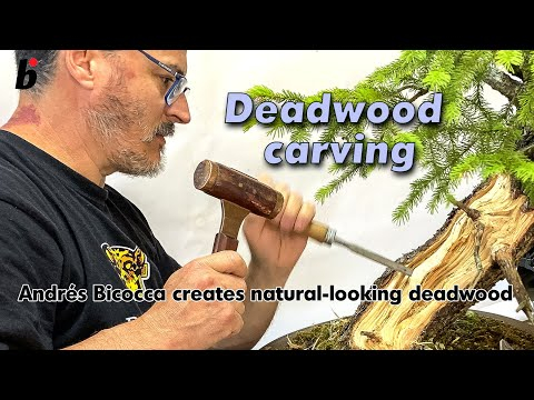 Andrés Bicocca creates natural-looking deadwood