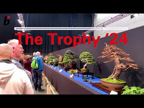 THE TROPHY 2024