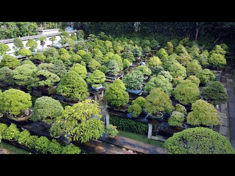 Fuyoen Bonsai Garden