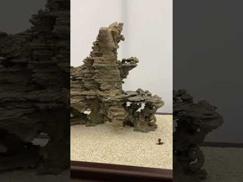 Viewing stones (Suiseki) #japanese #suiseki  #stones #art #bonsai