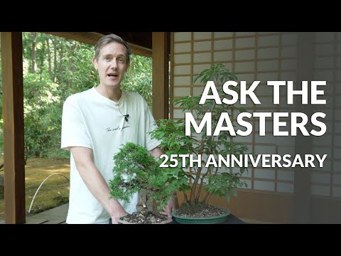 Ask the Masters - Bonsai Empire celebrates 25 years!