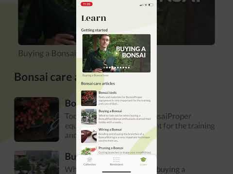 Bonsai Care App - explainer