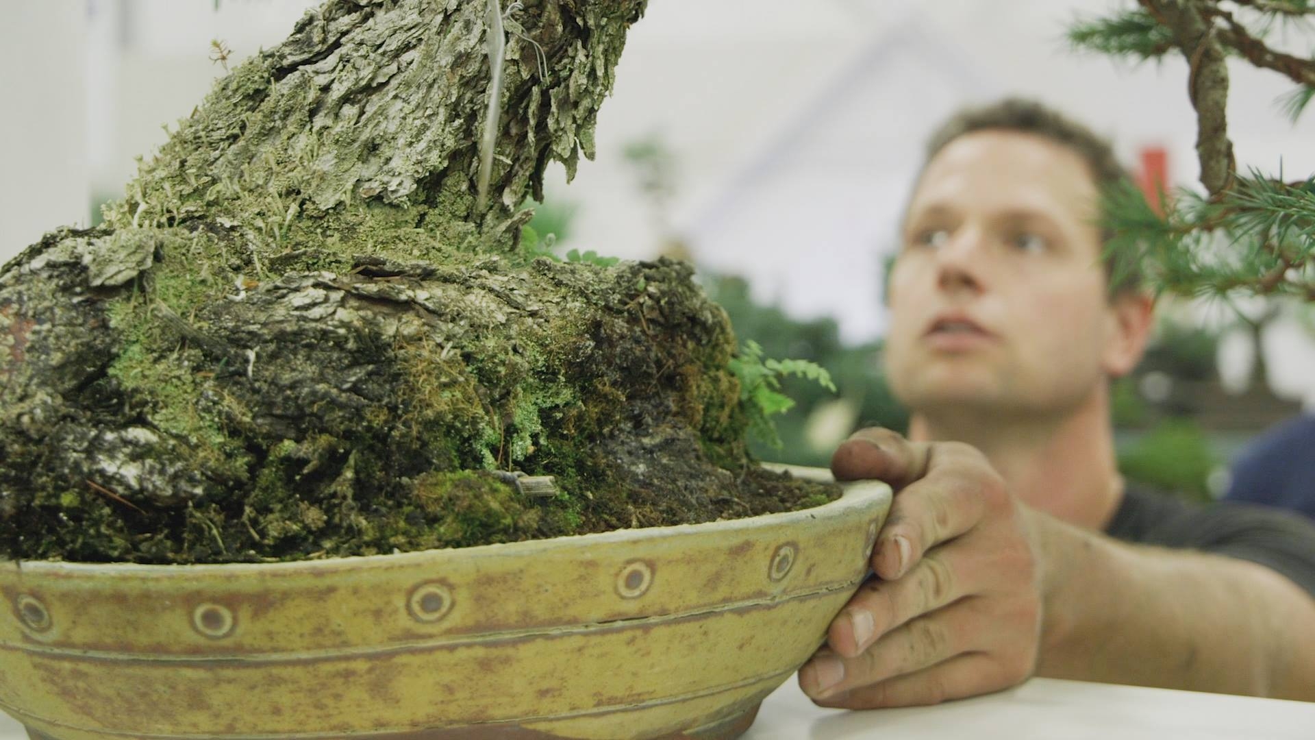 The U.S. National Bonsai Exhibition is not just a