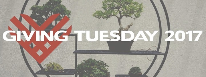 Thank you for supporting NBF this #GivingTuesday!