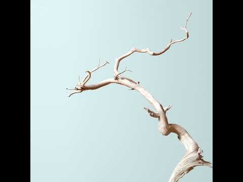 Spirit of Collaboration with Thomas Nevar