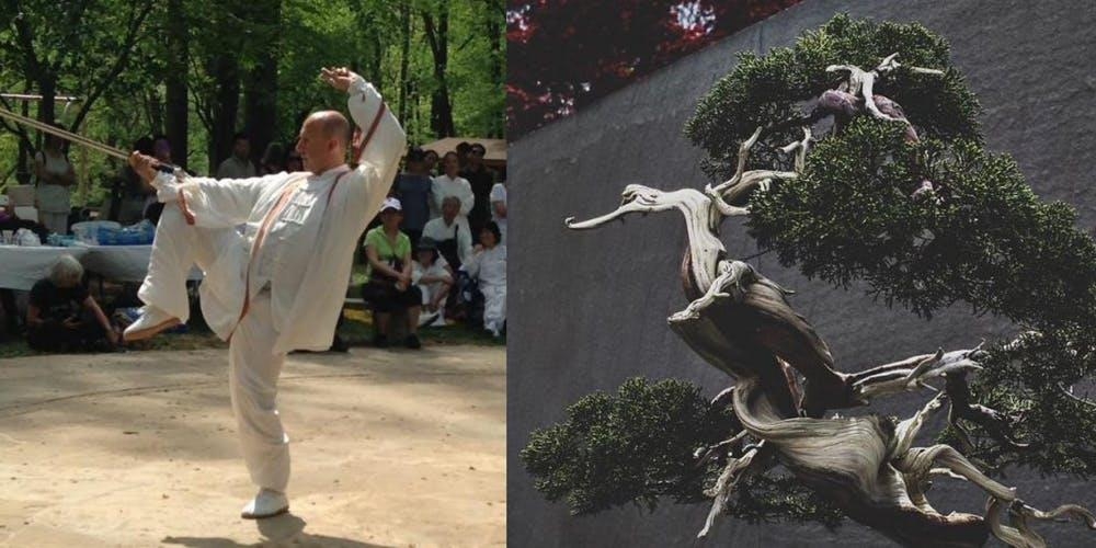Tai Chi Amongst the Bonsai (Spring 2019)