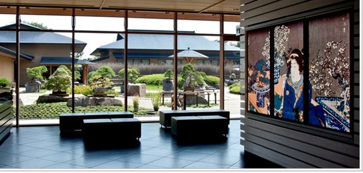 Bonsai Elegance from the Omiya Bonsai Art Museum | Bonsai Bark