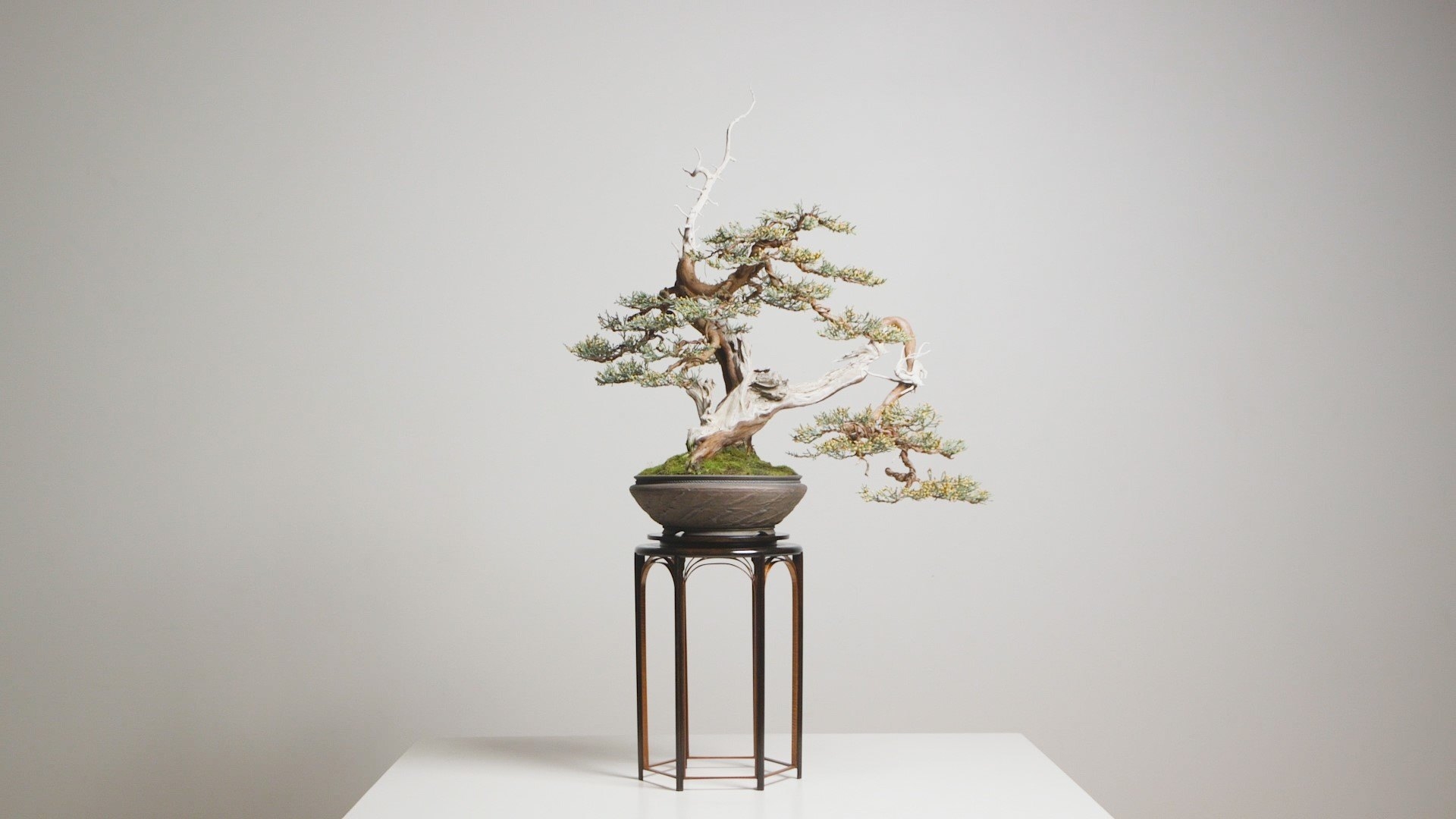 Austin Heitzman is an incredible woodworker based